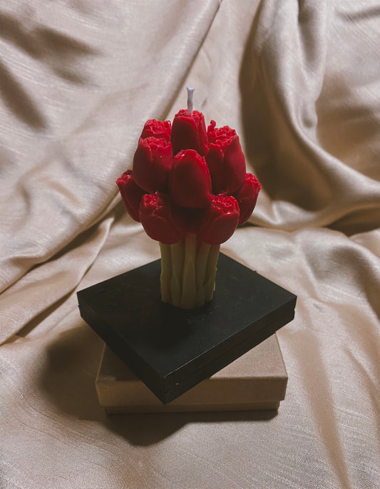 Tulipani